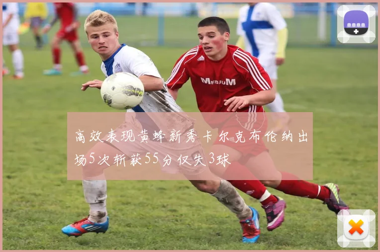 高效表现黄蜂新秀卡尔克布伦纳出场5次斩获55分仅失3球